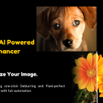 AI Image Enhancer and Background Removal Tool.