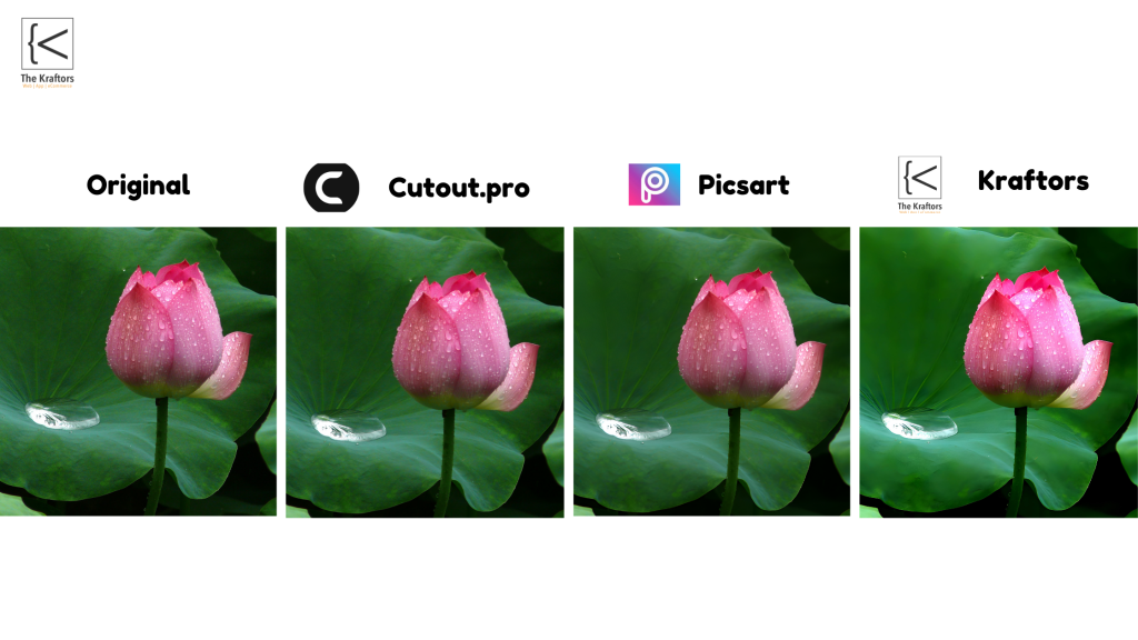 Comparison between different AI Image Enhancer's images.